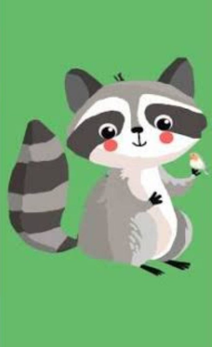 App Mapache TV - App para ver TV online