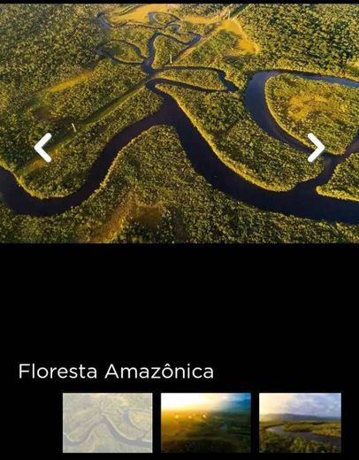 Pacote Floresta Amazônica+Manaus