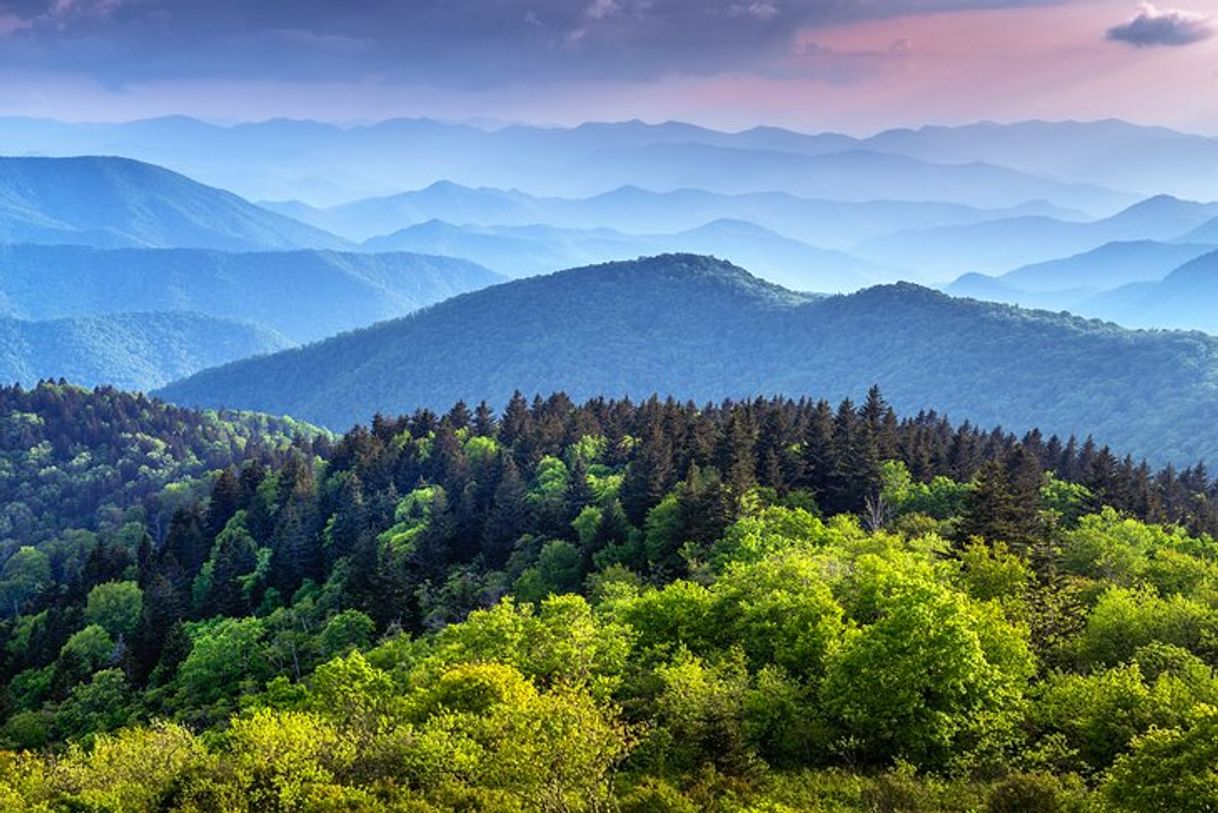 Place Great Smoky Mountains