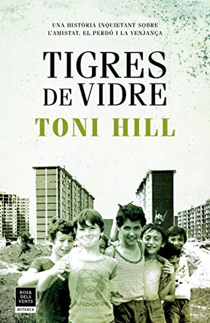 Book Tigres de vidre