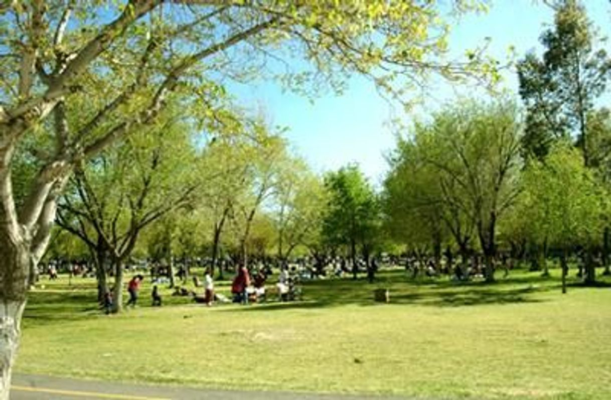 Lugar Federal "El Chamizal" Public Park