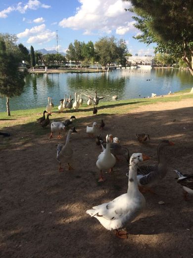 Parque Central