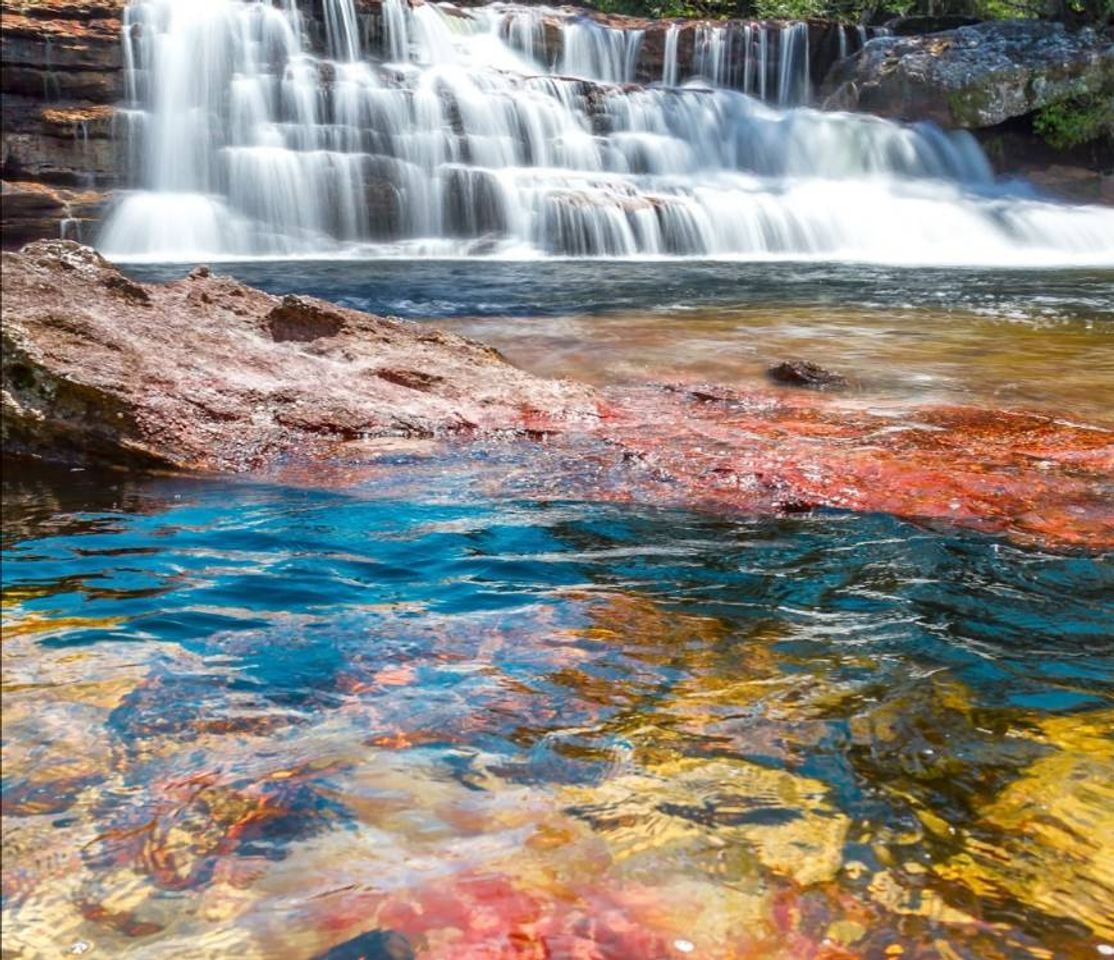 Place Caño Cristales