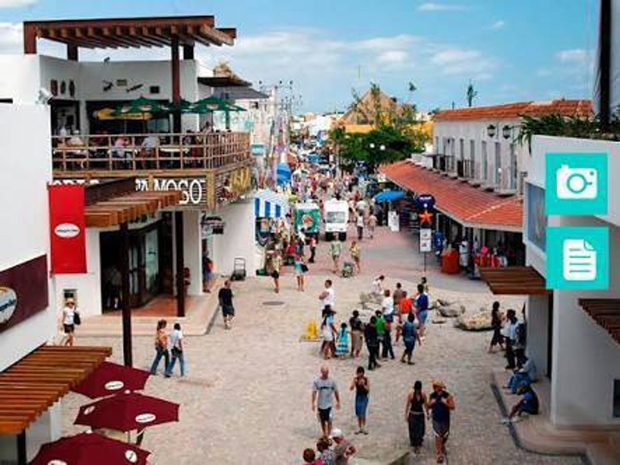 Place Calle Quinta Avenida