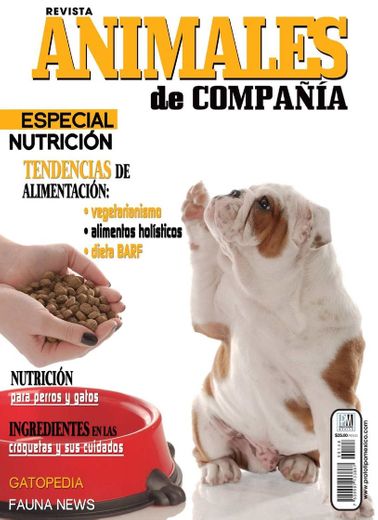 Alimento para perro y gato