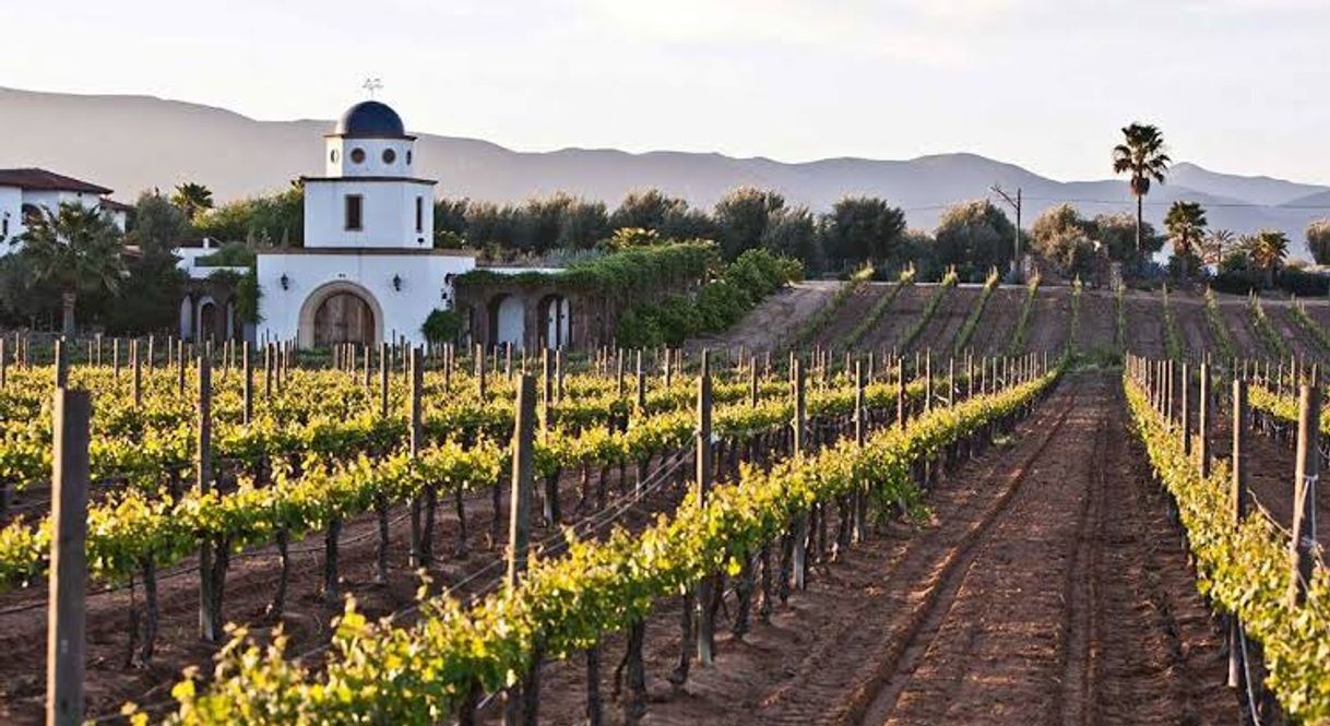 Lugar Valle de Guadalupe