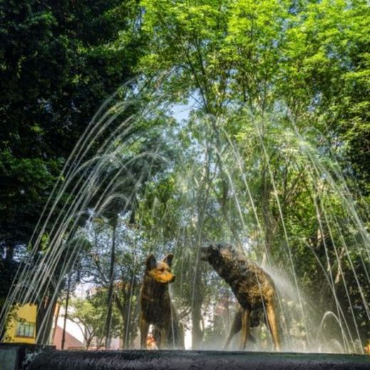 Coyoacán