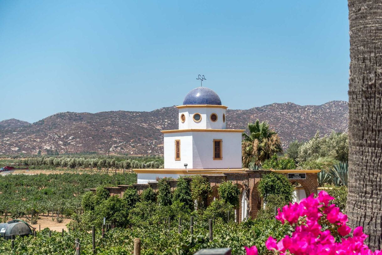 Lugar Valle de Guadalupe