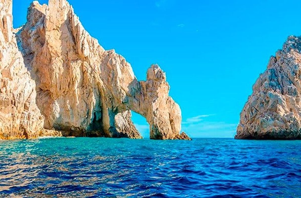 Place Los Cabos