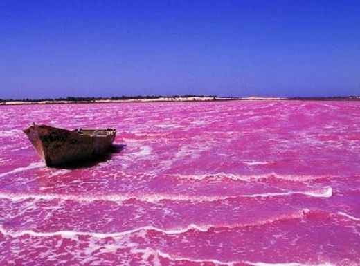 Le lac Rose, de son vrai nom lac Retba,Sénégal 