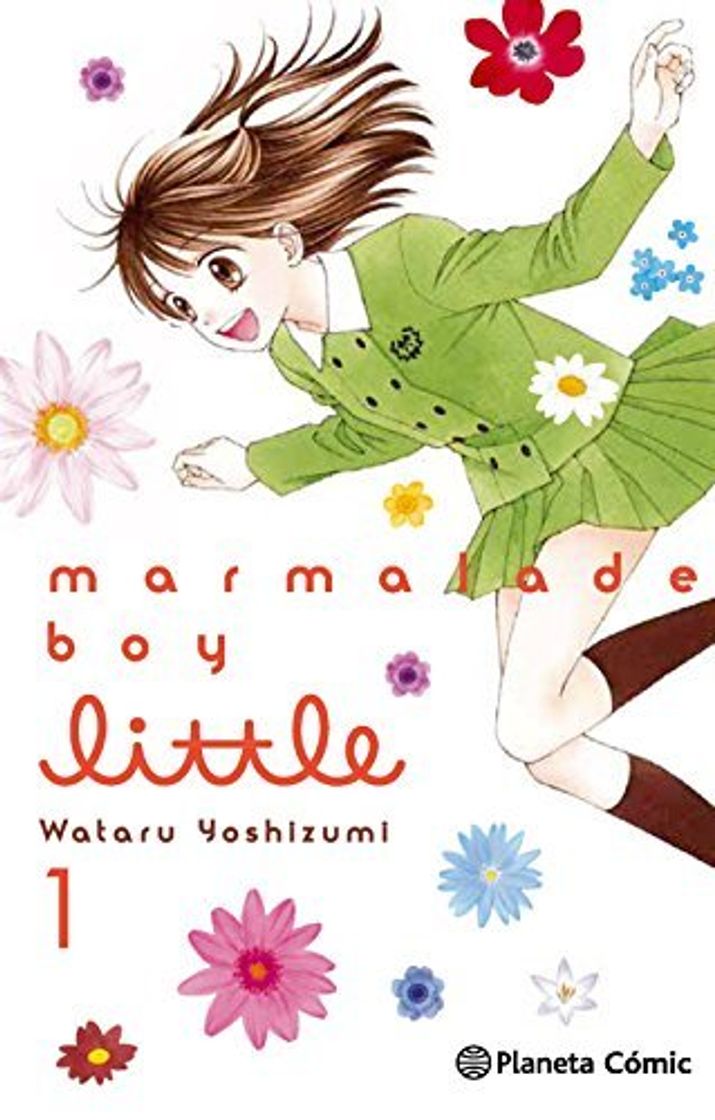 Book Marmalade Boy Little nº 01