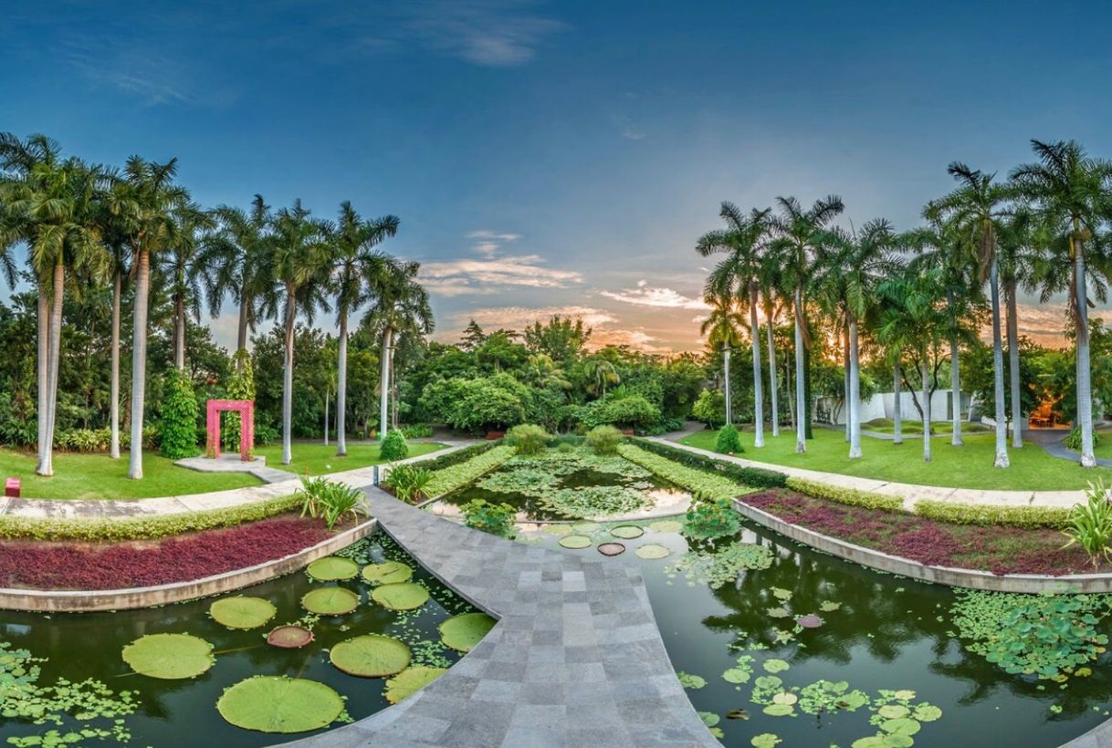 Place Jardín Botánico Culiacán