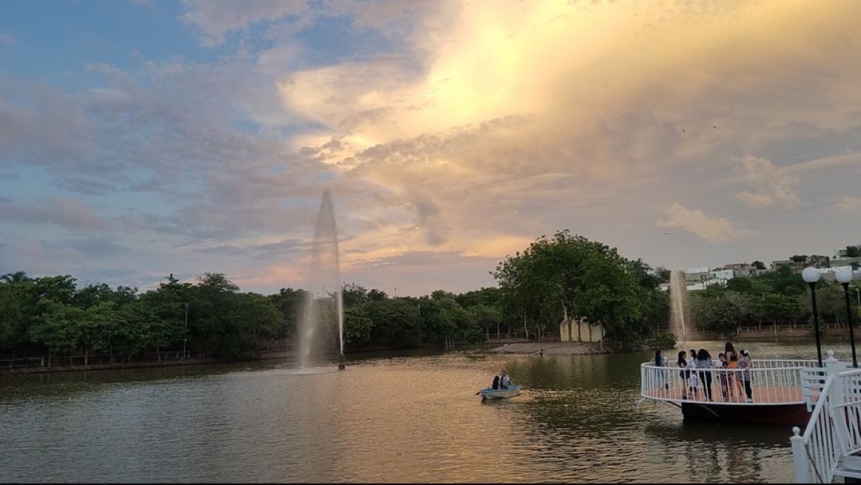 Place Parque Culiacan 87