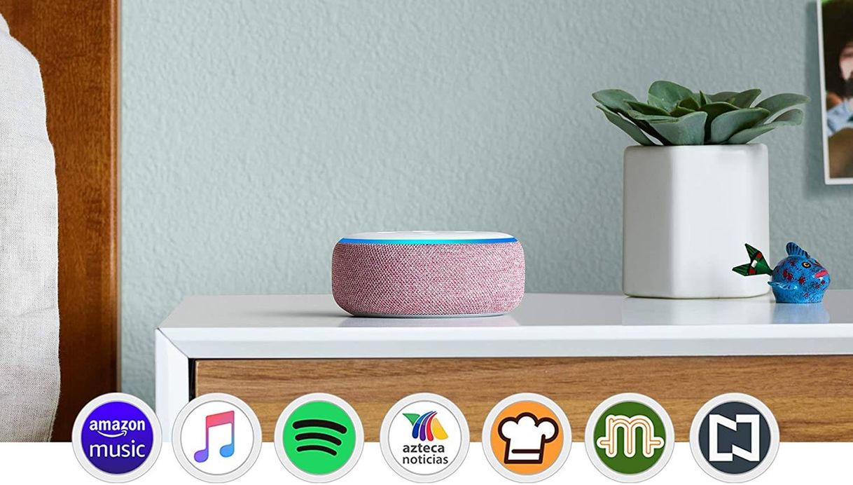 Moda Echo Dot