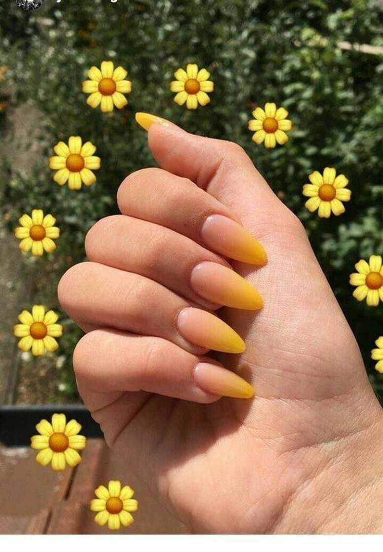 Social Unhas 💅🏼