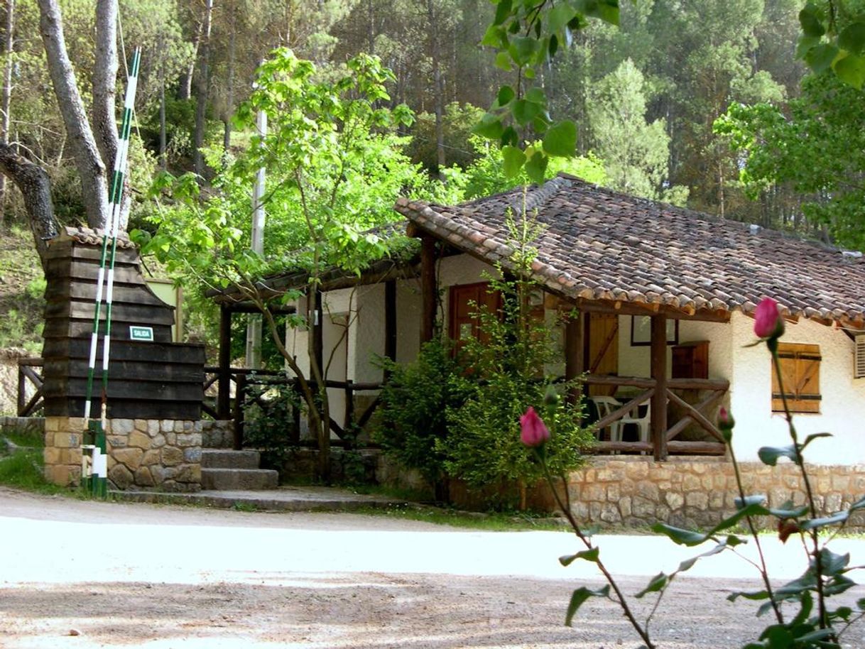 Lugar Camping Rural Llanos de Arance