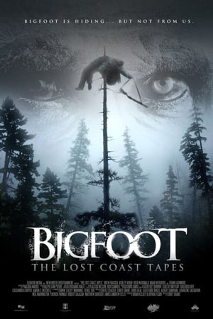 Movie Bigfoot: The Lost Coast Tapes