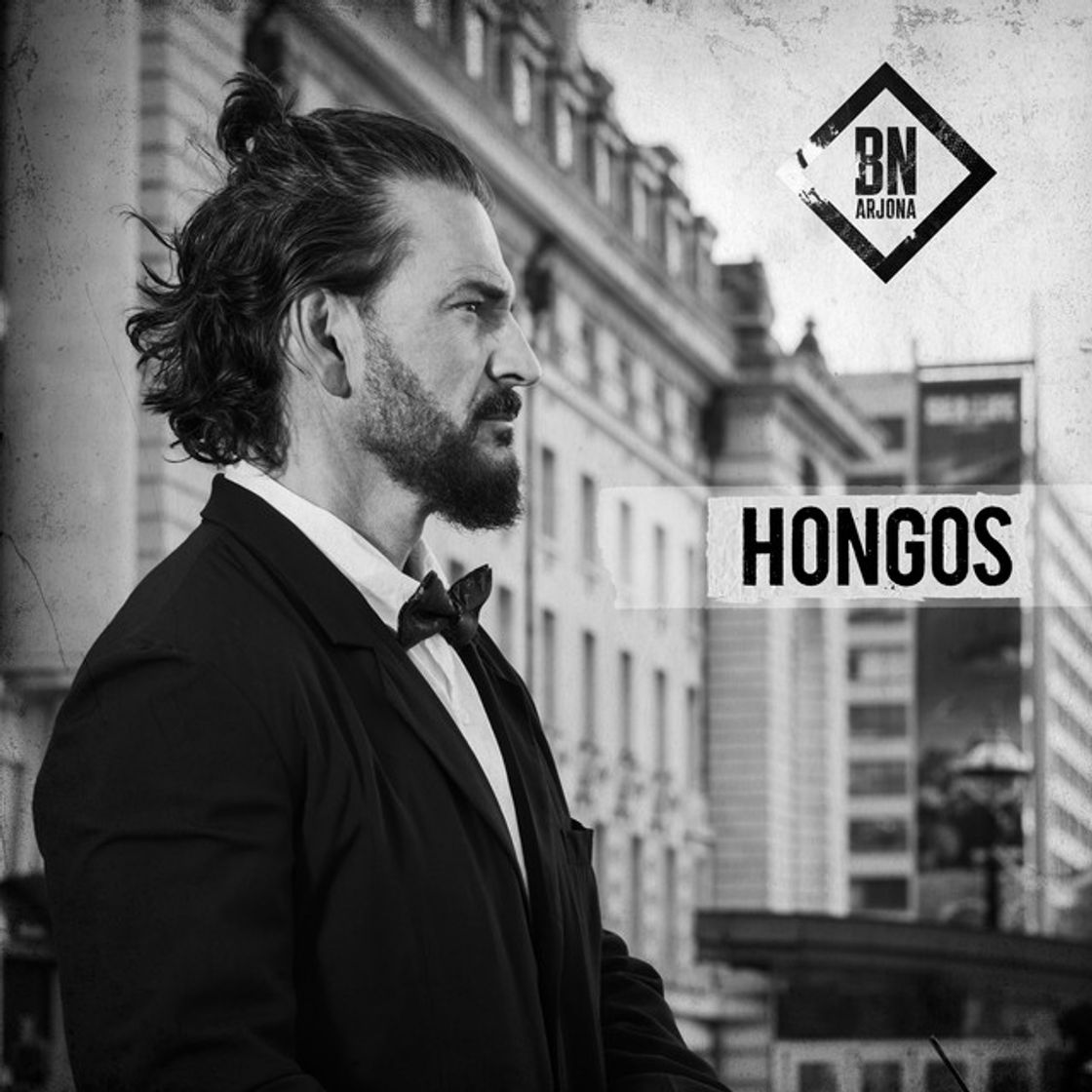 Canción Hongos