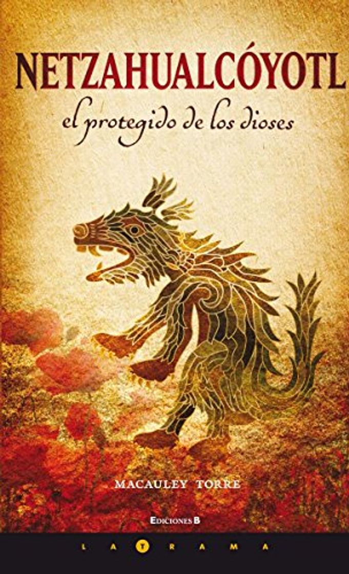 Libros Netzahualcoyotl