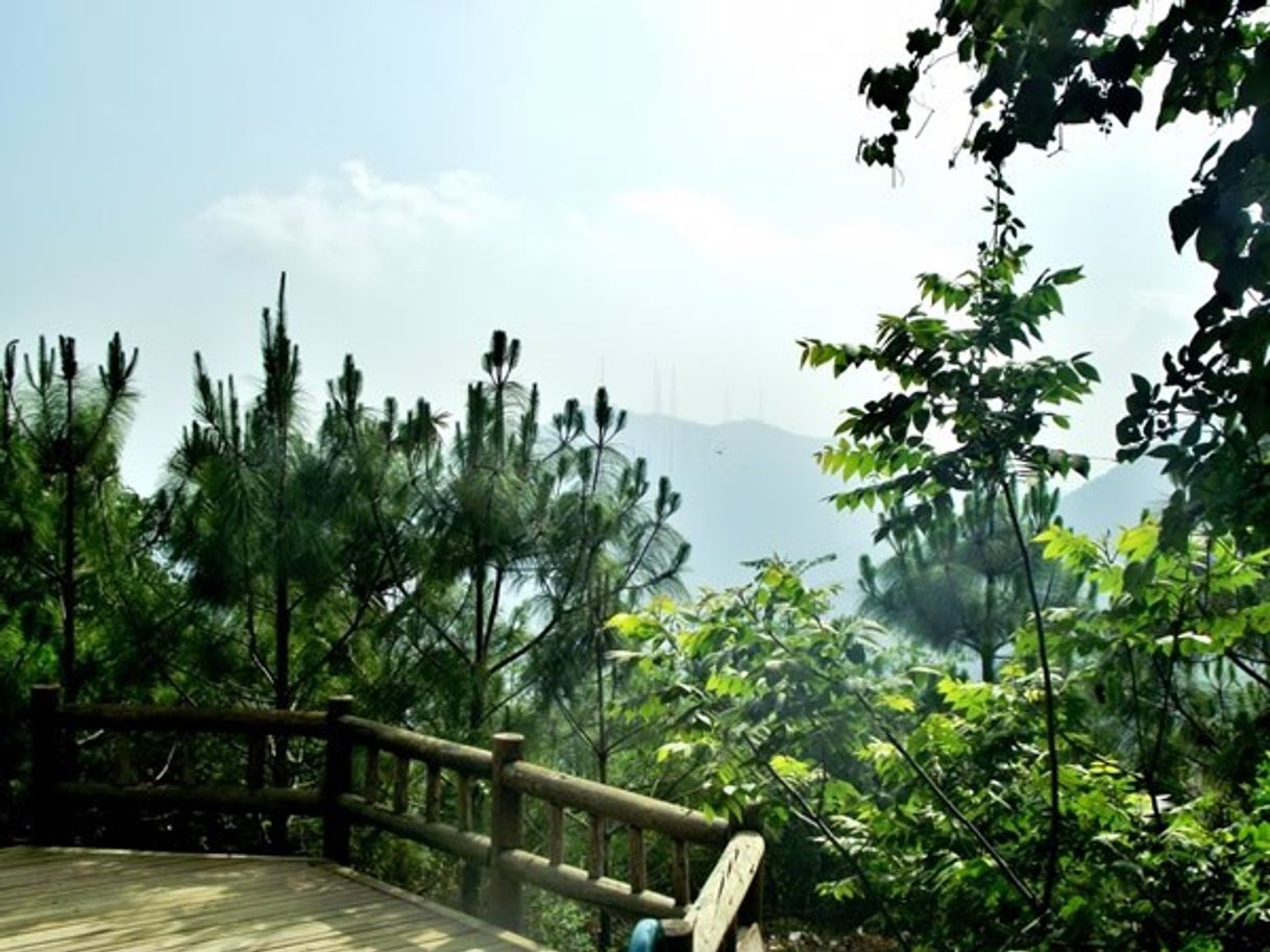 Place Parque Ecológico Chipinque