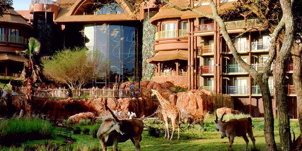 Place Disney's Animal Kingdom Lodge