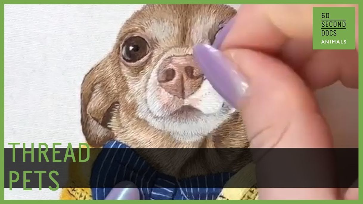 Fashion Embroidering Hyper-Realistic Pet Portraits - YouTube