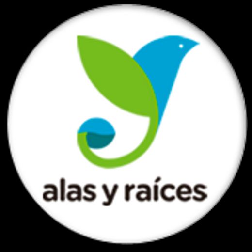 Actividades de Alas y Raíces 