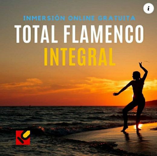 Total flamenco integral