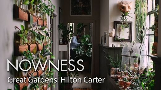 Great Gardens: step into Hilton Carter's houseplant paradise ...
