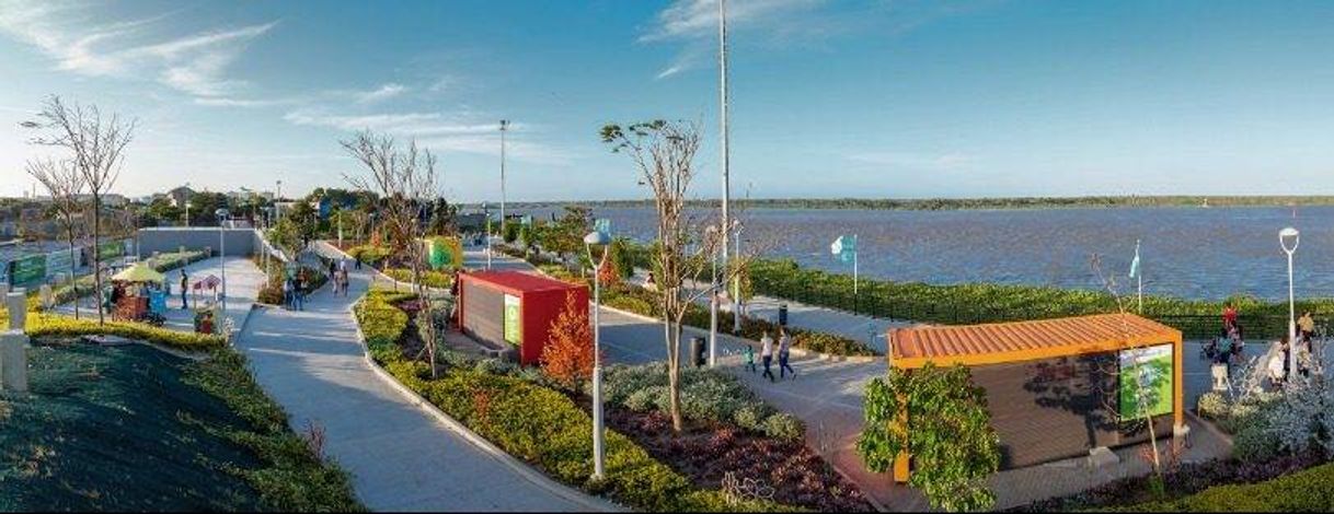 Place Malecón Puerta De Oro