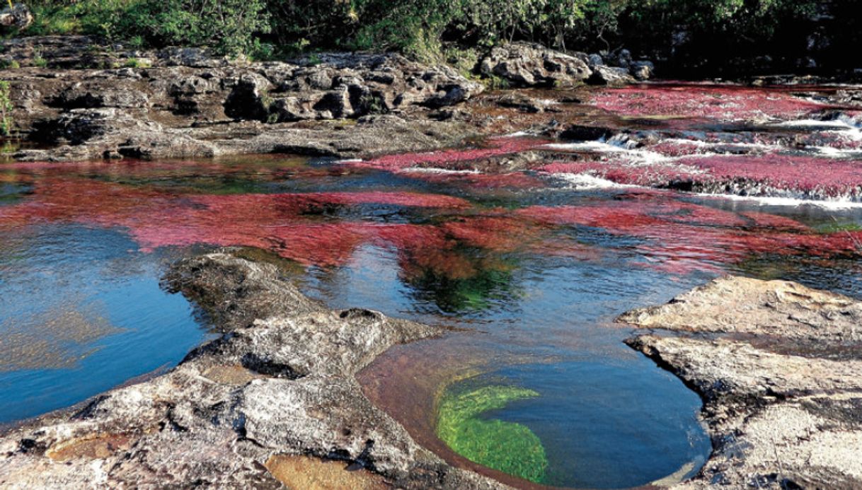 Lugar Caño Cristales