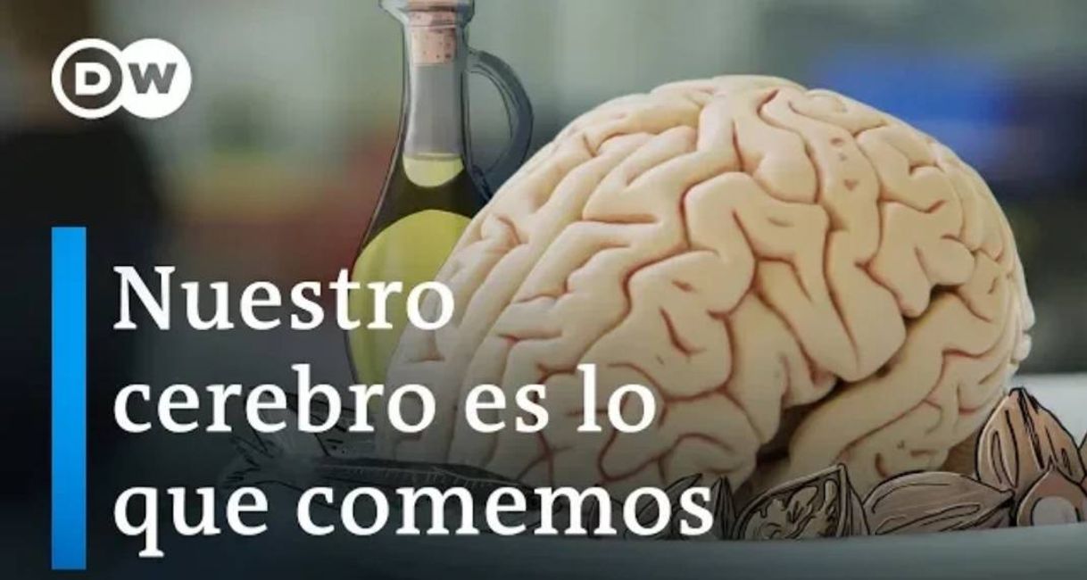 Social Nuestro cerebro es lo que comemos-Documental✨