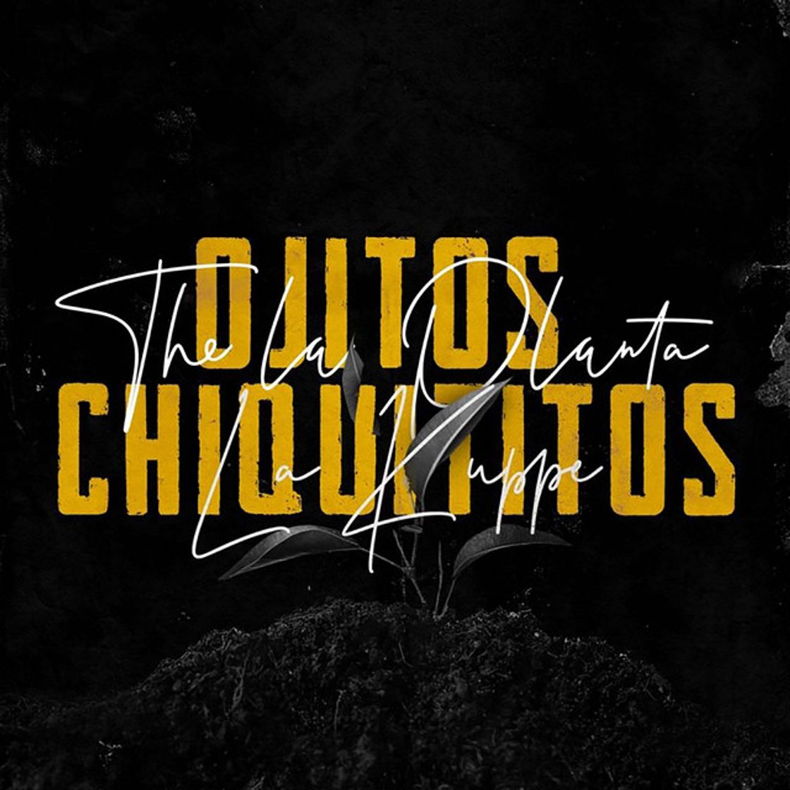 Canción Ojitos Chiquititos