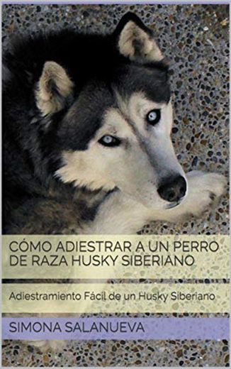 Cómo Adiestrar a Un Perro de Raza Husky Siberiano