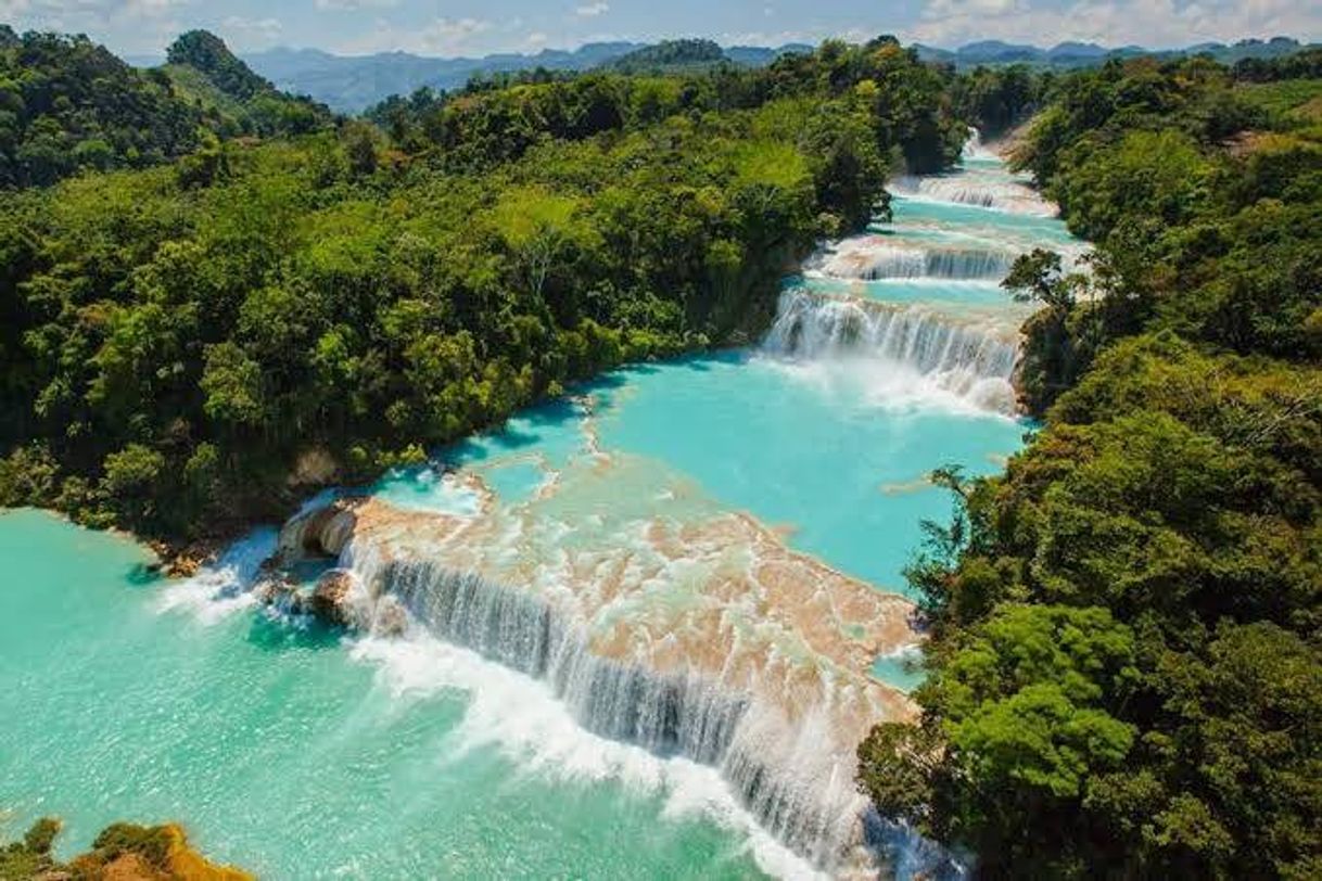 Place Cascadas de Agua Azul