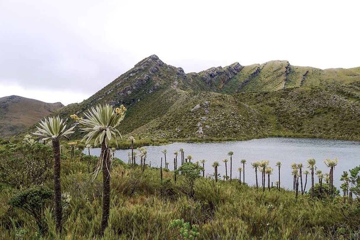 Place Parque Nacional Natural Chingaza