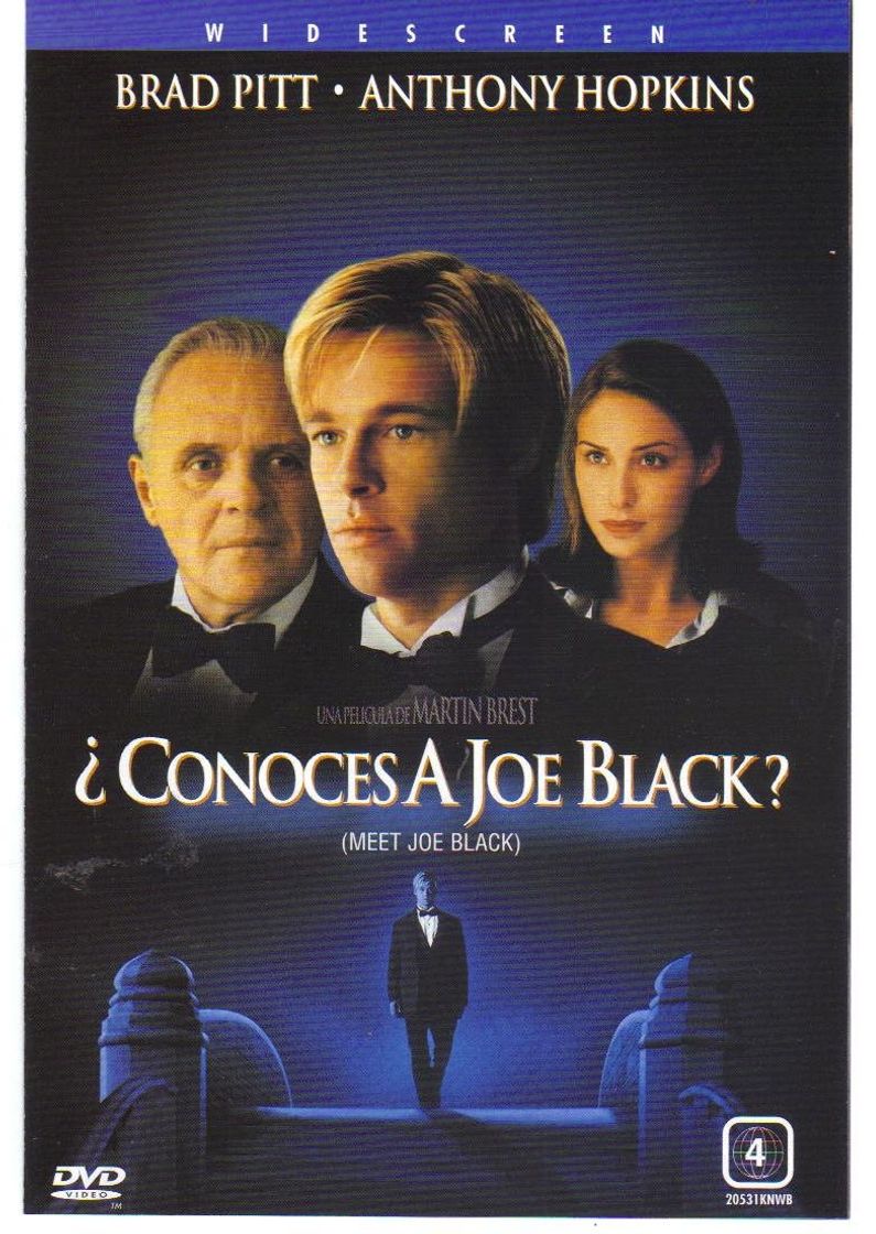 Película ¿Conoces a Joe Black?