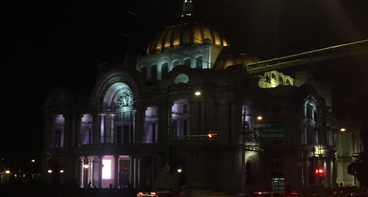 Lugar Palacio de Bellas Artes