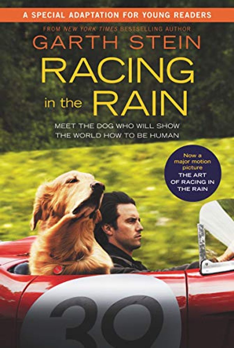 Libro The Art Of Racing In The Rain