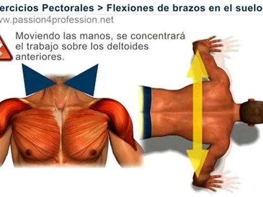 Flexiones de brazos ( ejercicios para pectorales )