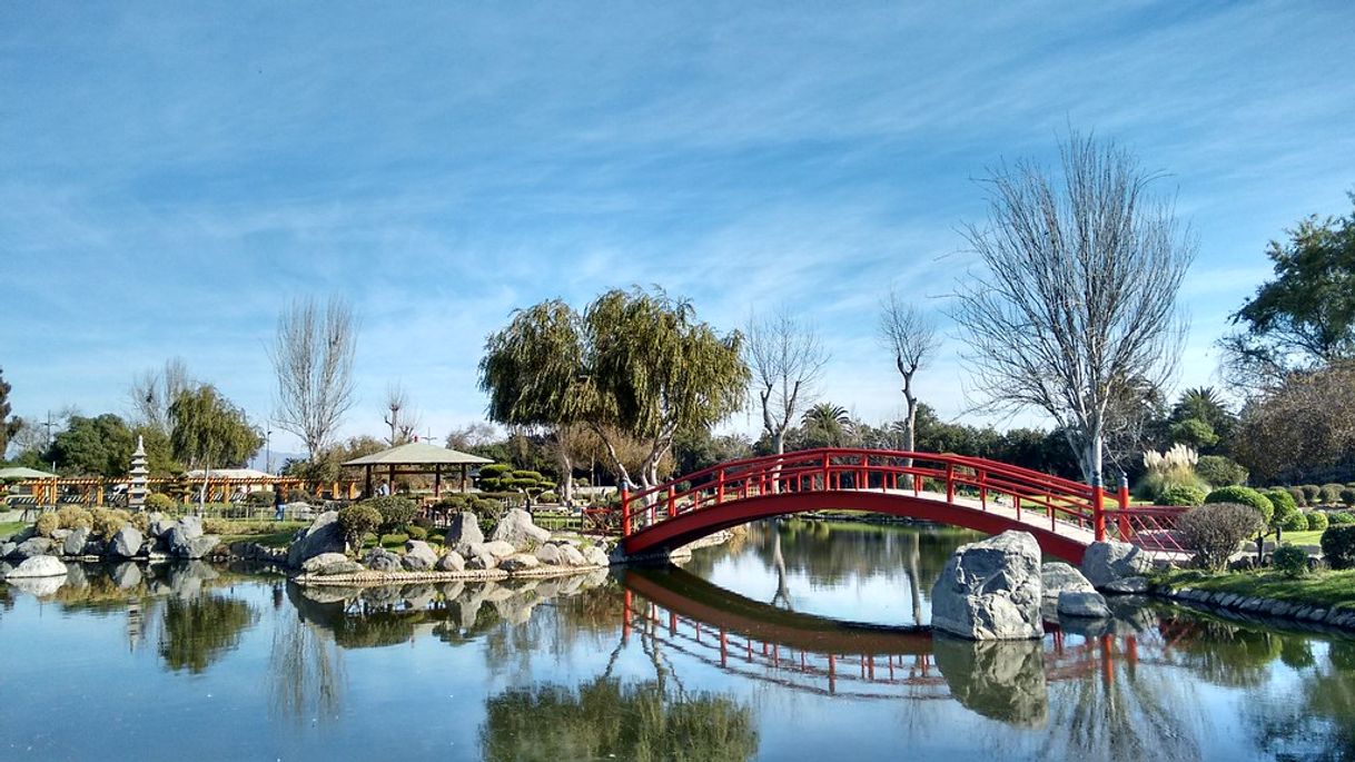 Lugar Parque Jardín Japonés La Serena