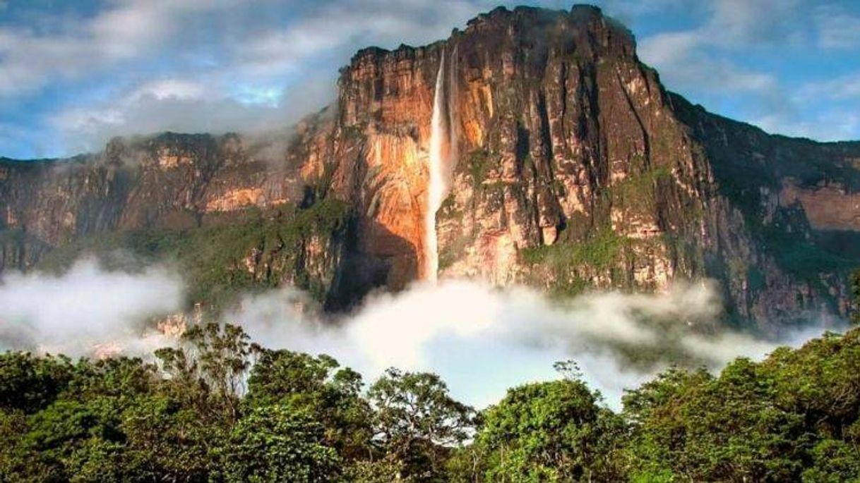 Place Parque Nacional Canaima