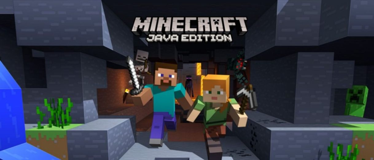 Minecraft: Java edition 
