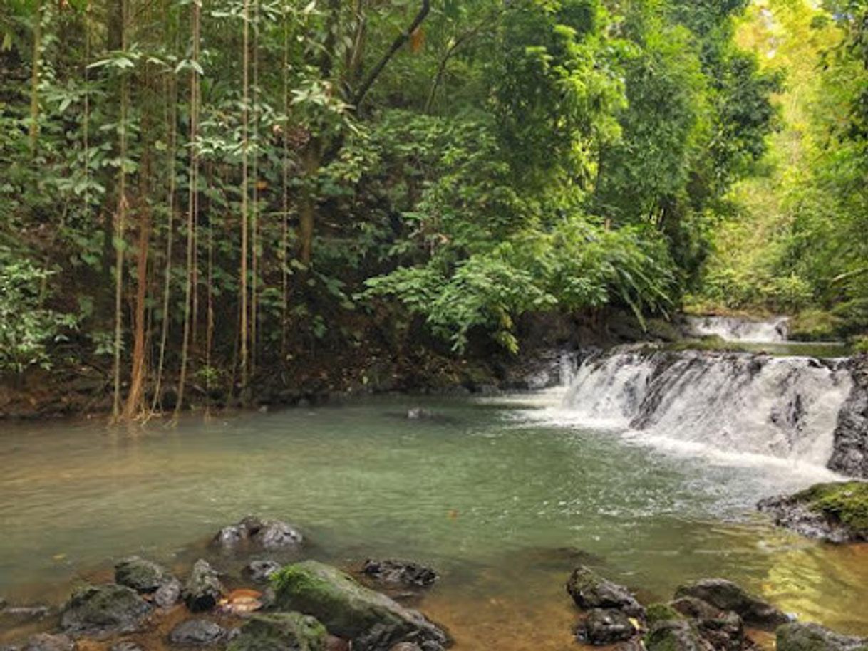 Parque Nacional Corcovado