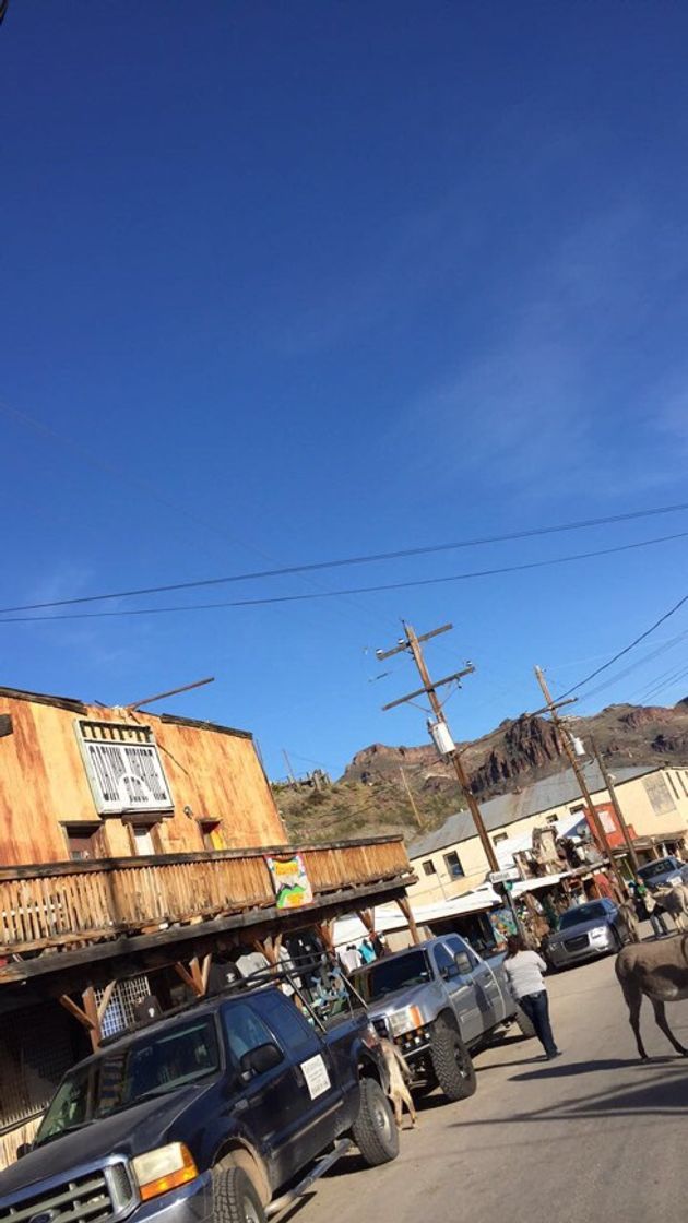 Place Oatman