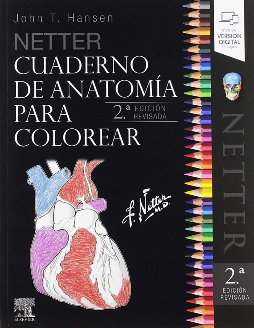 Fashion Libro de anatomía para colorear 