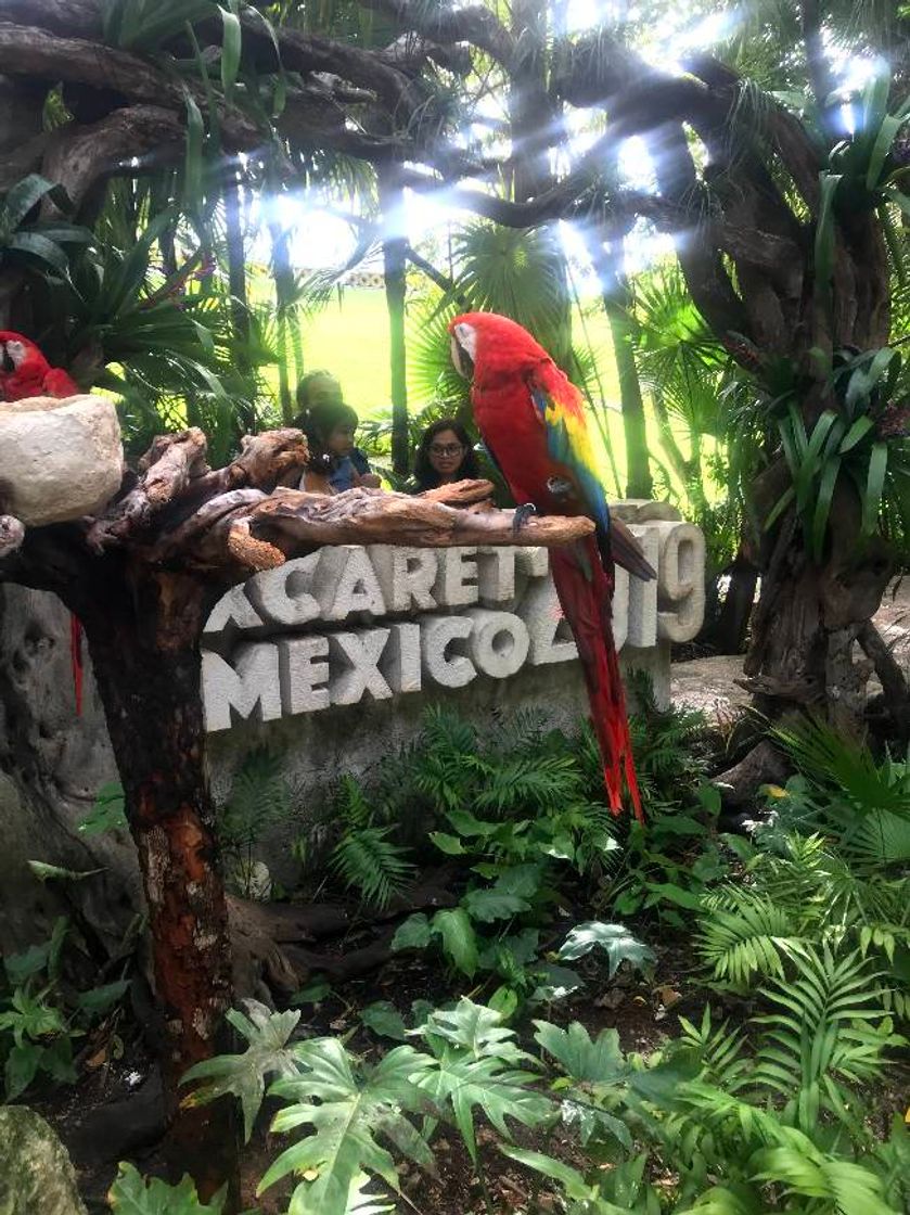 Lugar Xcaret