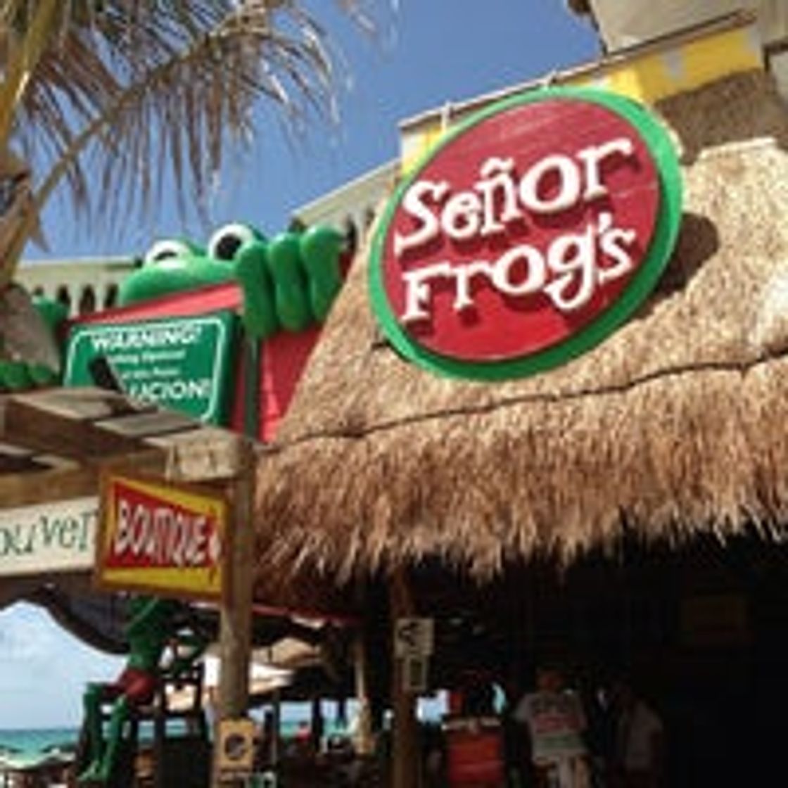 Restaurantes Señor Frog's