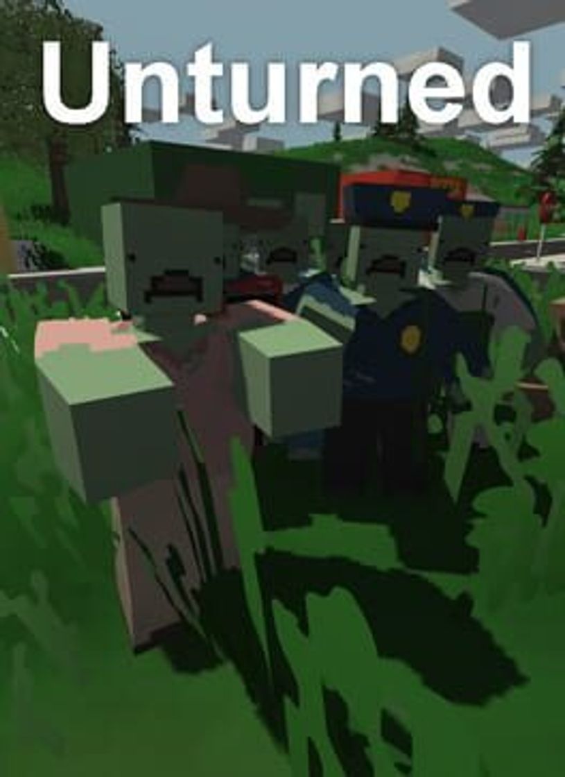 Videogames Unturned