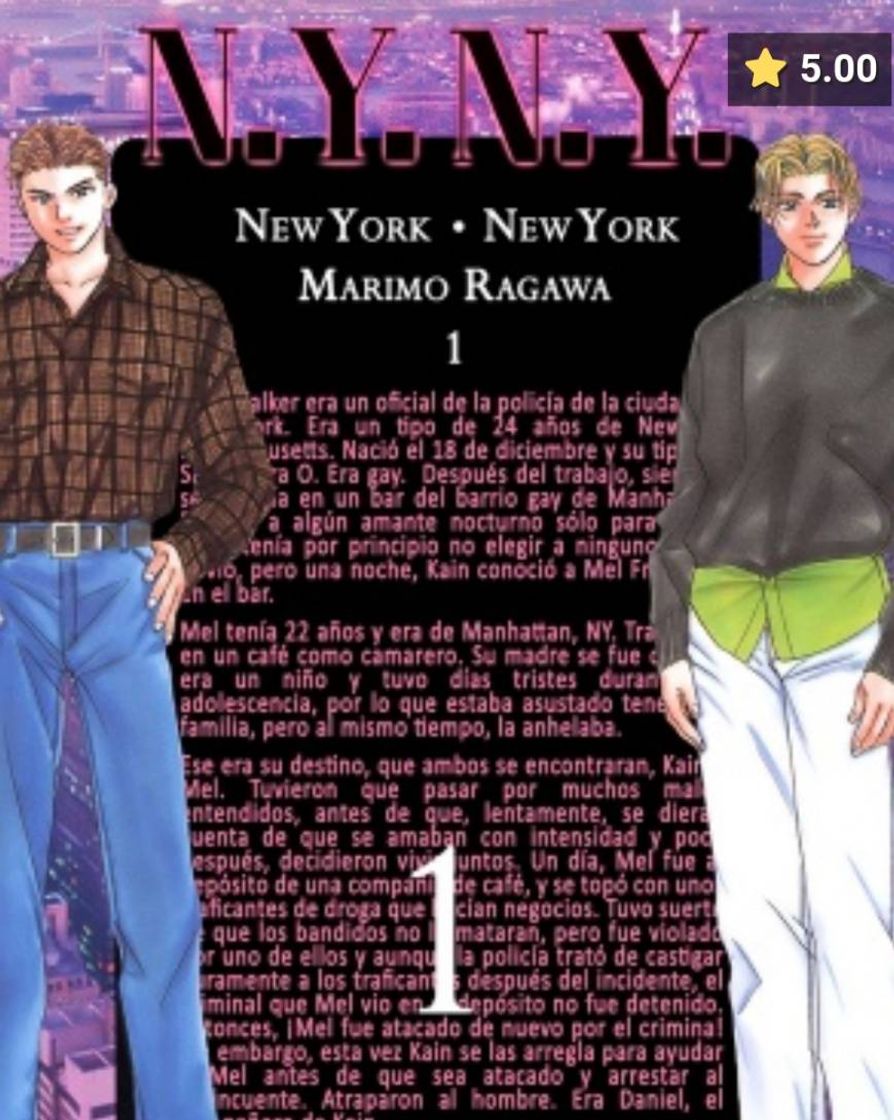 Libro New York New York